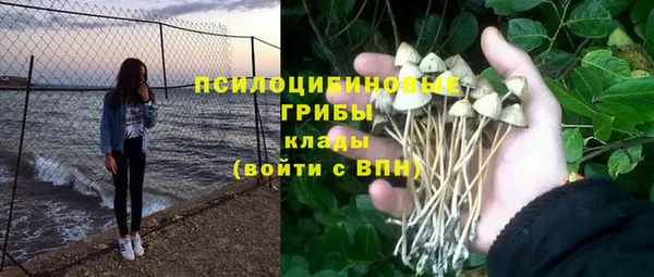 ешки Семилуки